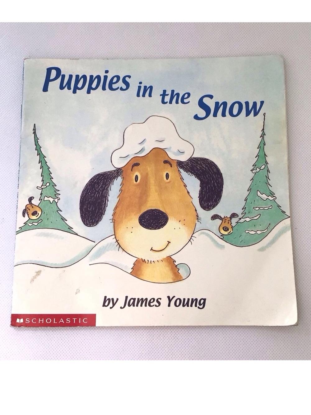 Scholastic Puppies in the Snow by James Young PB Ages 4-8 Illustrated Education